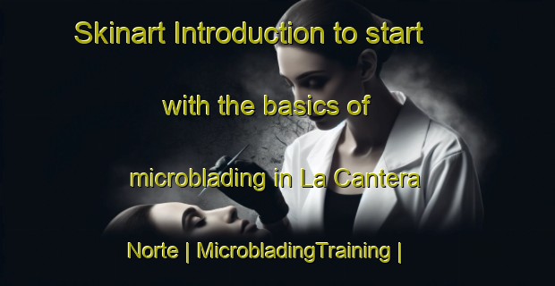 Skinart Introduction to start with the basics of microblading in La Cantera Norte | MicrobladingTraining | MicrobladingClasses | SkinartTraining-Mexico